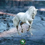 Winter is coming. Get to Winter Equestrian Festival 2016.